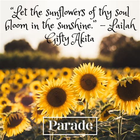 75 Sunflower Quotes To Bring You Joy Parade