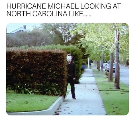 A Man Walking Down A Sidewalk Next To A Hedge