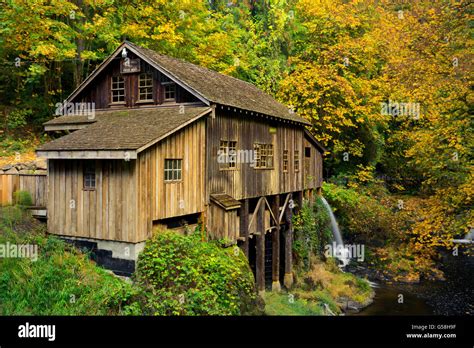 Wa12822 00washington Fall Color At The Cedar Creek Grist Mill