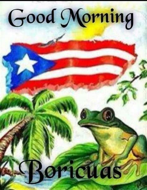 Buenos Dias Boricuas ♡♥ Puerto Rican Power Puerto Rican Flag Puerto