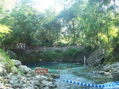 Madison Blue Spring State Park (Madison County) | Blue springs state park, State parks, Madison ...
