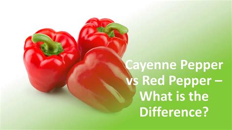 Cayenne Pepper Vs Red Pepper What Is The Difference