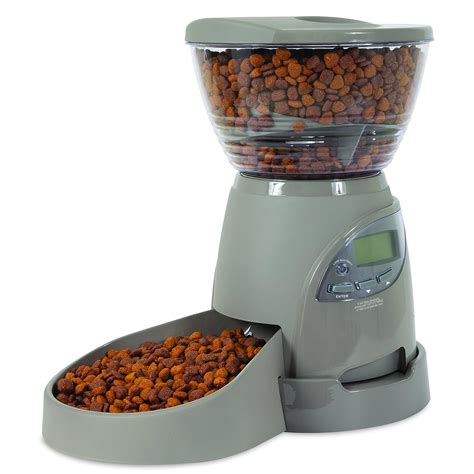 The Best Automatic Dog Feeder In 2019