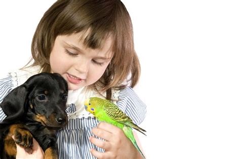 10 Reasons Your Children Should Own A Pet