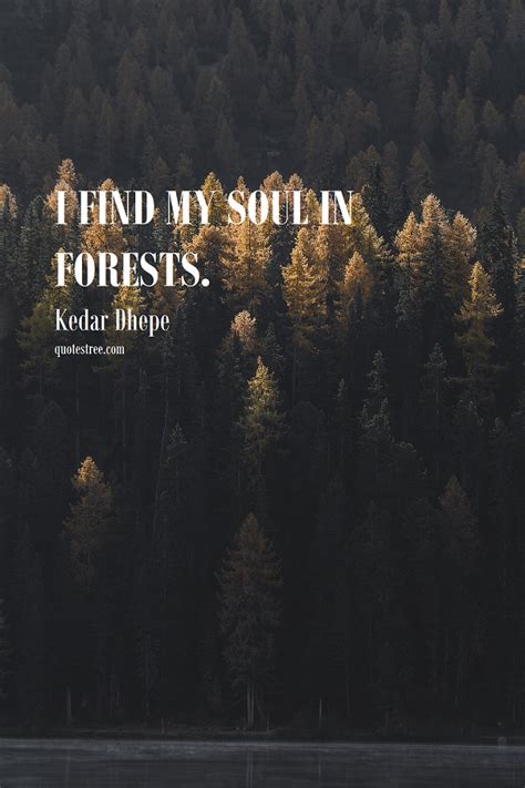 31 Quotes About Forest Trees And Nature