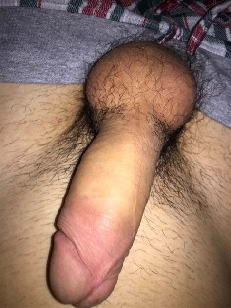 Picture Of A Hard Hairy Uncut Dick Nude Men Pictures