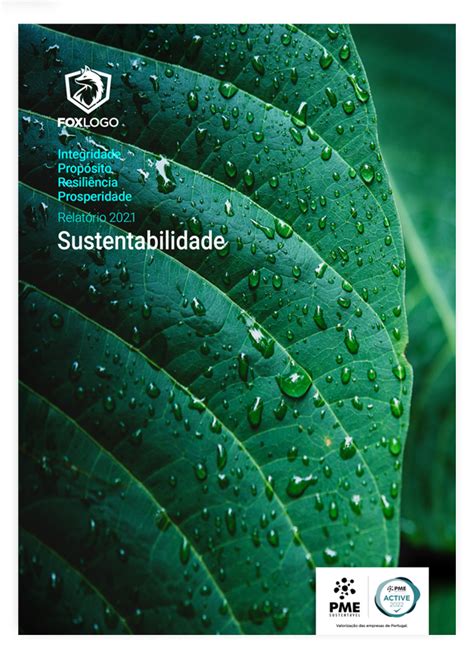 Relatórios de Sustentabilidade