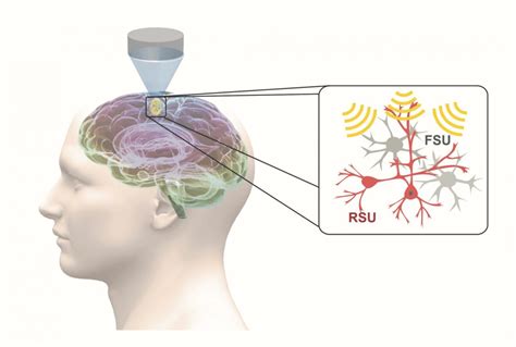 Neuromodulation How We Manipulate Brain Cells Science Connected Magazine