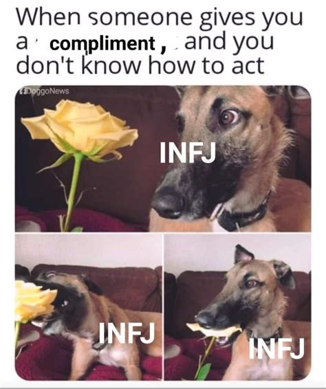 The Best 40 Infj Memes Every Infj Can Relate Artofit
