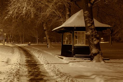 Shed In Park At Night In Winter Free Stock Photo Public Domain Pictures