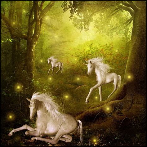 Magic Forest Magic Forest Unicorn Fantasy Unicorn Art