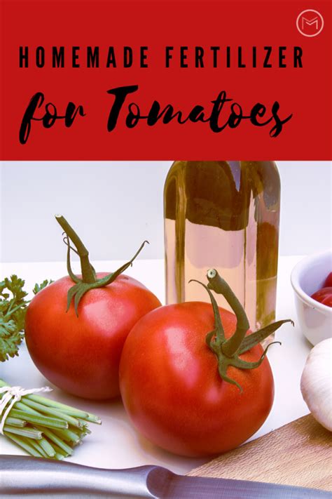 Homemade Fertilizer For Tomatoes And More Mother 2 Mother Blog