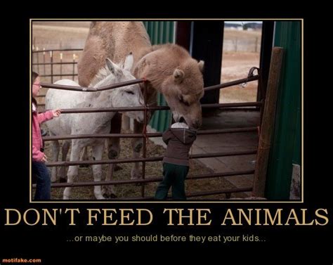 Dont Feed The Animals Animal Humor Pinterest