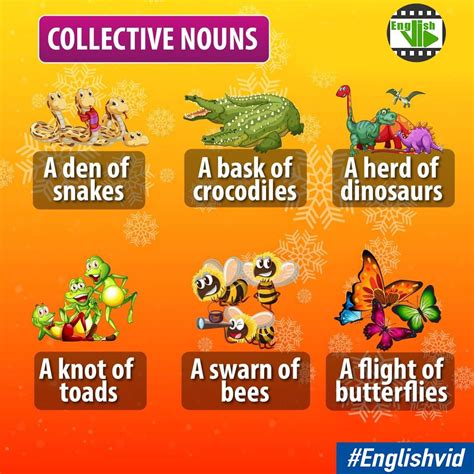 Collective Nouns In English In 2021 Collective Nouns Learn English