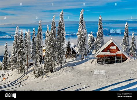 Snowfall In Transylvania Hi Res Stock Photography And Images Alamy