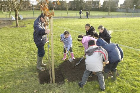 Orchards For Schools Tree Wardens And Schools Working Together To Be A