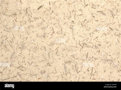 Beige Paper Texture With Flecks Of Wood Stock Photo Alamy