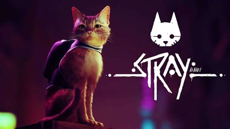 Stray The Cyberpunk Cat Delights Us With New Gameplay Game Freaks 365