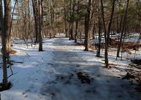 Saratoga Woods And Waterways February Thaw