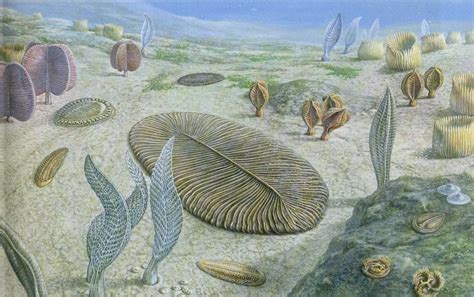 Snakes snakes are thought to have evolved from either. Geological Timeline