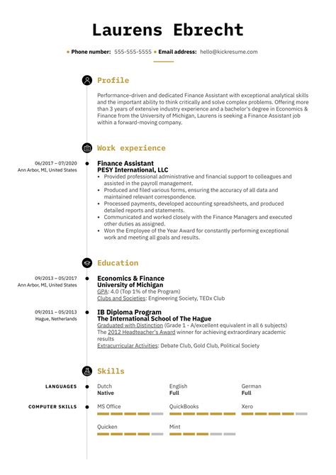 Resume For Job Application Example Kickresume