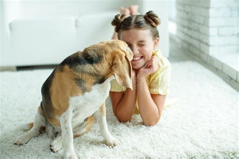 Niño Con Perro Adolescente Con Un Perro Beagle En Casa Imagen De Archivo Imagen De