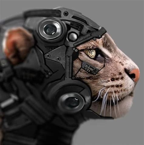 Pin By Robyn Perry On Cyborg Robot Animal Futuristic Art Cyberpunk Art