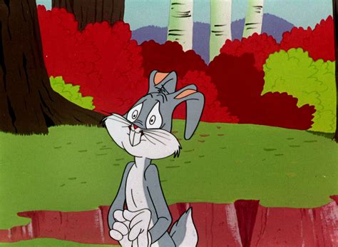 Looney Tunes Pictures The Hasty Hare