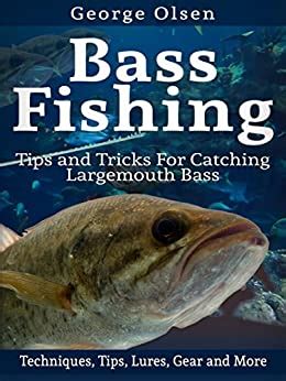 Bass fishing is actually more than just a hobby nowadays. Amazon.com: Bass Fishing: Tips and Tricks for Catching ...