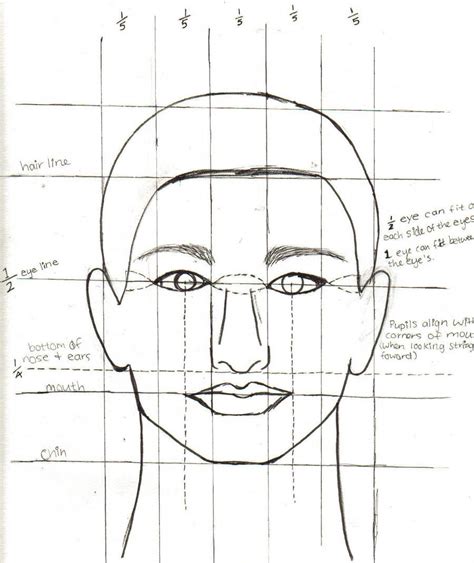 face proportions by ashley2081 face proportions facial proportions guy drawing