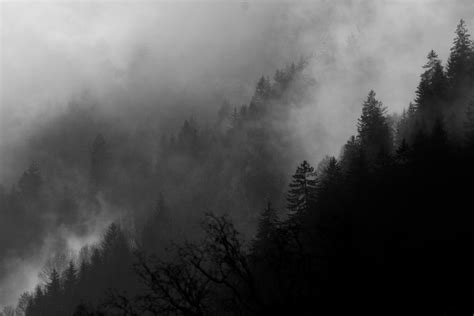 Free Images Landscape Tree Nature Forest Mountain Cloud Black