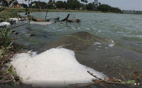 Pandemia Aumentó Descargas De Aguas Negras A Lagunas Y Río En Tamaulipas Milenio Mx