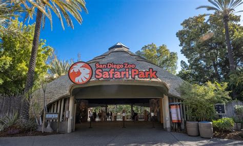San Diego Zoo Safari Park In Escondido Ca Groupon
