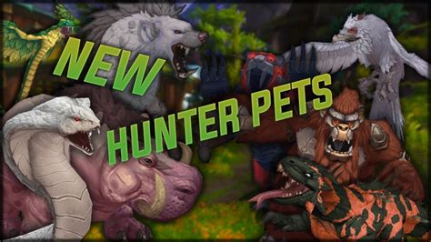 Top 10 Coolest Hunter Pets Wow This Article Examines The Top 5 Pets