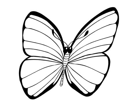 Butterfly Coloring Pages Coloring Pages Butterfly Butterflies Kids