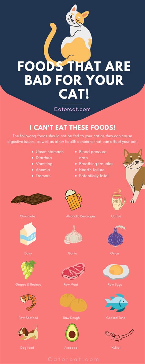 Cats can eat tinned tuna in water as long as it's fed as part of a balanced diet. 10 Dangerous (Human) Foods You Should Avoid Giving Your ...