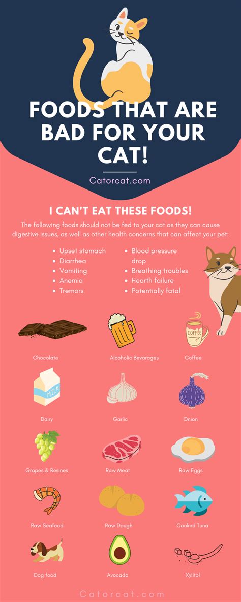 We did not find results for: 10 Dangerous (Human) Foods You Should Avoid Giving Your ...
