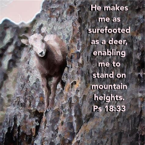 Psalms 1833 He Maketh My Feet Like Hinds Feet And Setteth Me Upon My