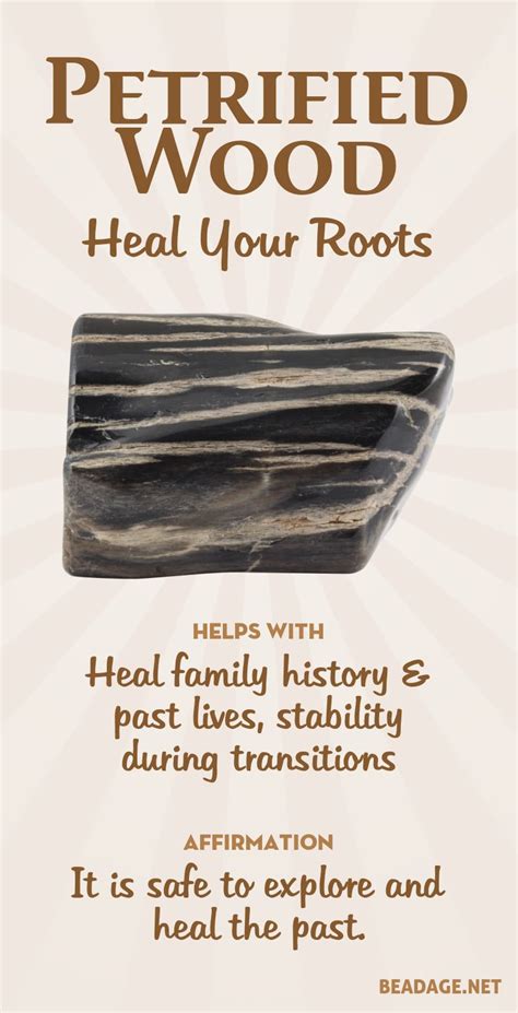 Petrified Wood Meaning And Healing Properties Learn Gemstone Meanings