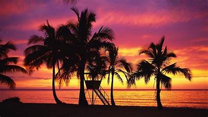 Hawaii Wallpapers Sunset Nature Fresh