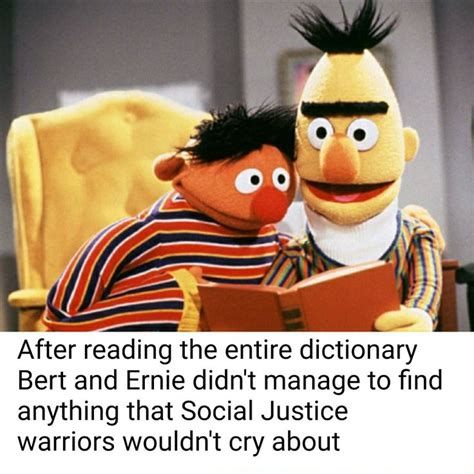 Bert And Ernie Stupid Funny Memes Funny Filthy Memes