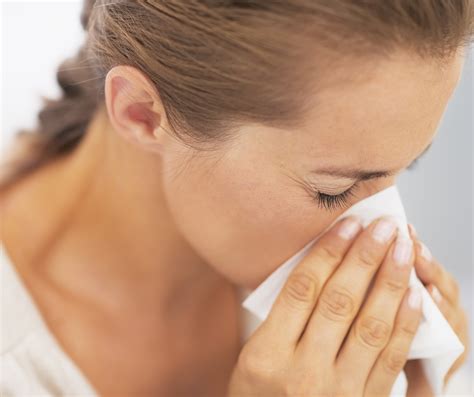 5 common allergy myths america s best care plus