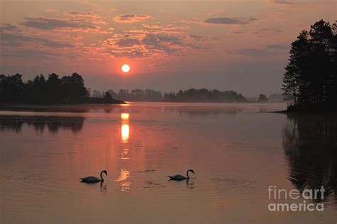 Seney Swan Sunrise Photograph By Teresa McGill Fine Art America