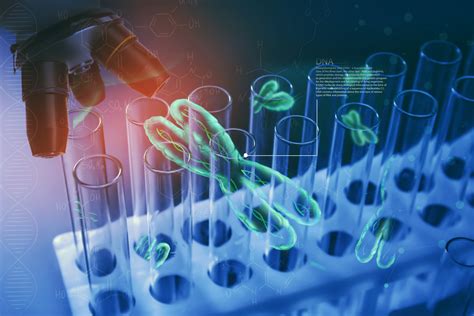 Dna Probes And Their Importance In Oncology Kromatid