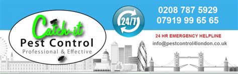 Pest control plays a vital role in keeping british homes happy and healthy. What Makes A Good Pest Control Company? - Catch-it Ltd