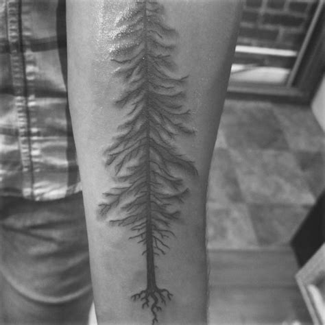 Douglas Fir Tattoo Doug Douglasfir Cascadia Tattoo Trees Tattoos