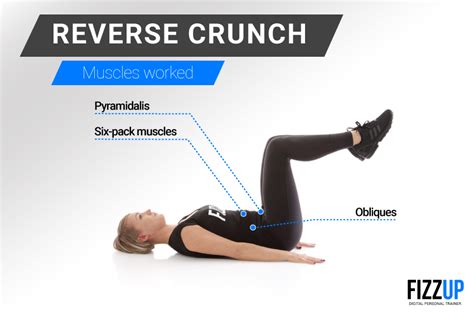 Get Abs Of Steel With Reverse Crunches Fizzup