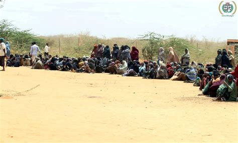 Kenya Dadaab August 2011 Ihh Humanitarian Relief Foundation Flickr