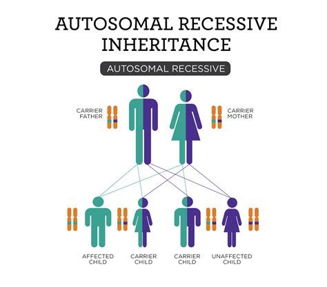 Recessive 01 Csid Cares