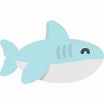 Shark Icon Icons Save